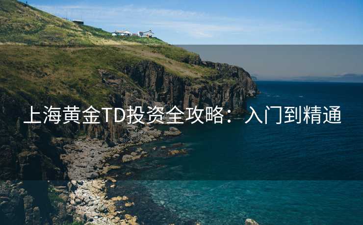 上海黄金TD投资全攻略：入门到精通
